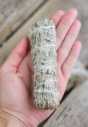 Blå Salvia (Shasta Sage)