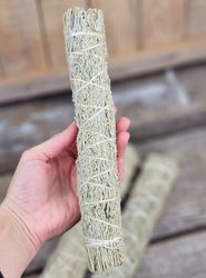 Blå Salvia, extra stor (Shasta Sage)