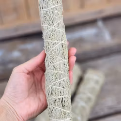 Blå Salvia, extra stor (Shasta Sage)