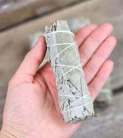 Vit Salvia med Eukalyptus