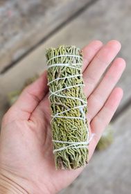 Juniper, bunt