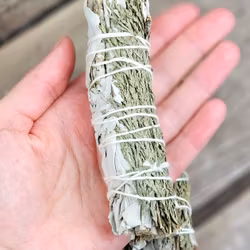 Vit Salvia med Ceder