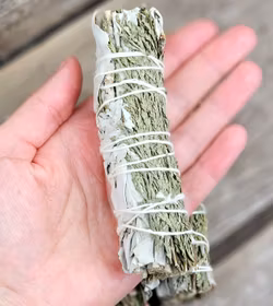 Vit Salvia med Ceder