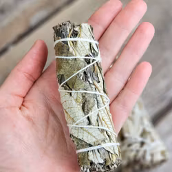 Yerba Santa (Helig ört)