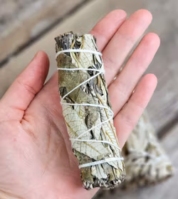 Yerba Santa (Helig ört)
