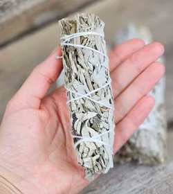 Vit Salvia i kombination med Blå Salvia (Shasta Sage) & Yerba Santa