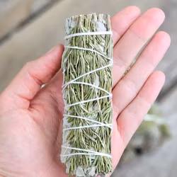 Vit Salvia med Rosmarin