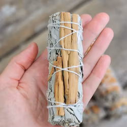 Vit Salvia med Kanel