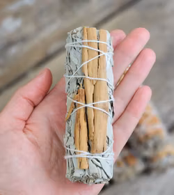 Vit Salvia med Kanel