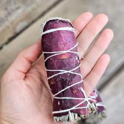 Vit Salvia med Rosenblad