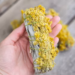 Vit Salvia med Kungsljus