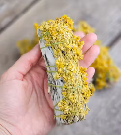 Vit Salvia med Kungsljus