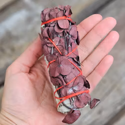 Vit Salvia i kombination med Eukalyptusblad & Dragons blood