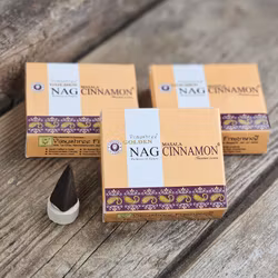 Vijayshree - Golden Nag Cinnamon, rökelsekoner