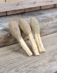Palo Santo (Heligt trä), smudge med Eukalyptus