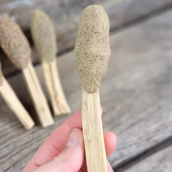 Palo Santo (Heligt trä), smudge med Eukalyptus