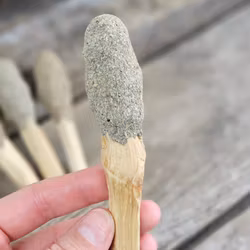 Palo Santo (Heligt trä), smudge med Blå Salvia