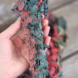 Eukalyptusblad i kombination med Dragons blood