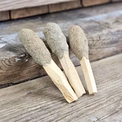 Palo Santo (Heligt trä), smudge med Blå Salvia