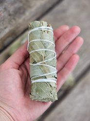 Eukalyptus, bunt