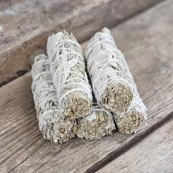 Vit Salvia i kombination med Blå Salvia (Shasta Sage)