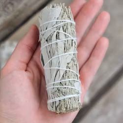 Vit Salvia i kombination med Blå Salvia (Shasta Sage)