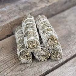 Vit Salvia i kombination med Mugwort