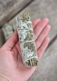 Vit Salvia i kombination med Mugwort
