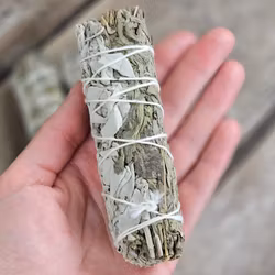 Vit Salvia i kombination med Mugwort