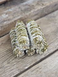 Vit Salvia med Vinruta (Ruda Rue)