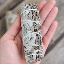 Vit Salvia i kombination med Royal Sage