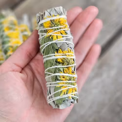 Vit Salvia med Solros