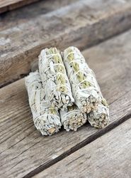 Vit Salvia med Sweetgrass