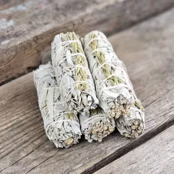 Vit Salvia med Sweetgrass