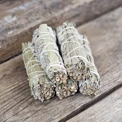 Vit Salvia med Citrongräs