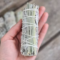 Vit Salvia med Citrongräs