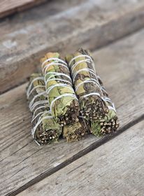 Citronmeliss & Pepparmynta, bunt