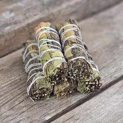 Citronmeliss & Pepparmynta, bunt
