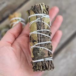 Citronmeliss & Pepparmynta, bunt