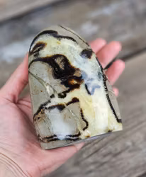 Septarian (Draksten), polerad kristall stående friform #1