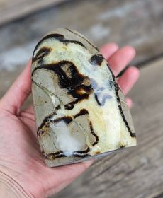 Septarian (Draksten), polerad kristall stående friform #1
