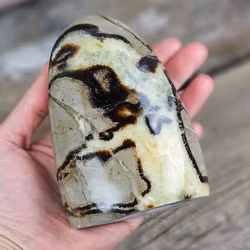 Septarian (Draksten), polerad kristall stående friform #1