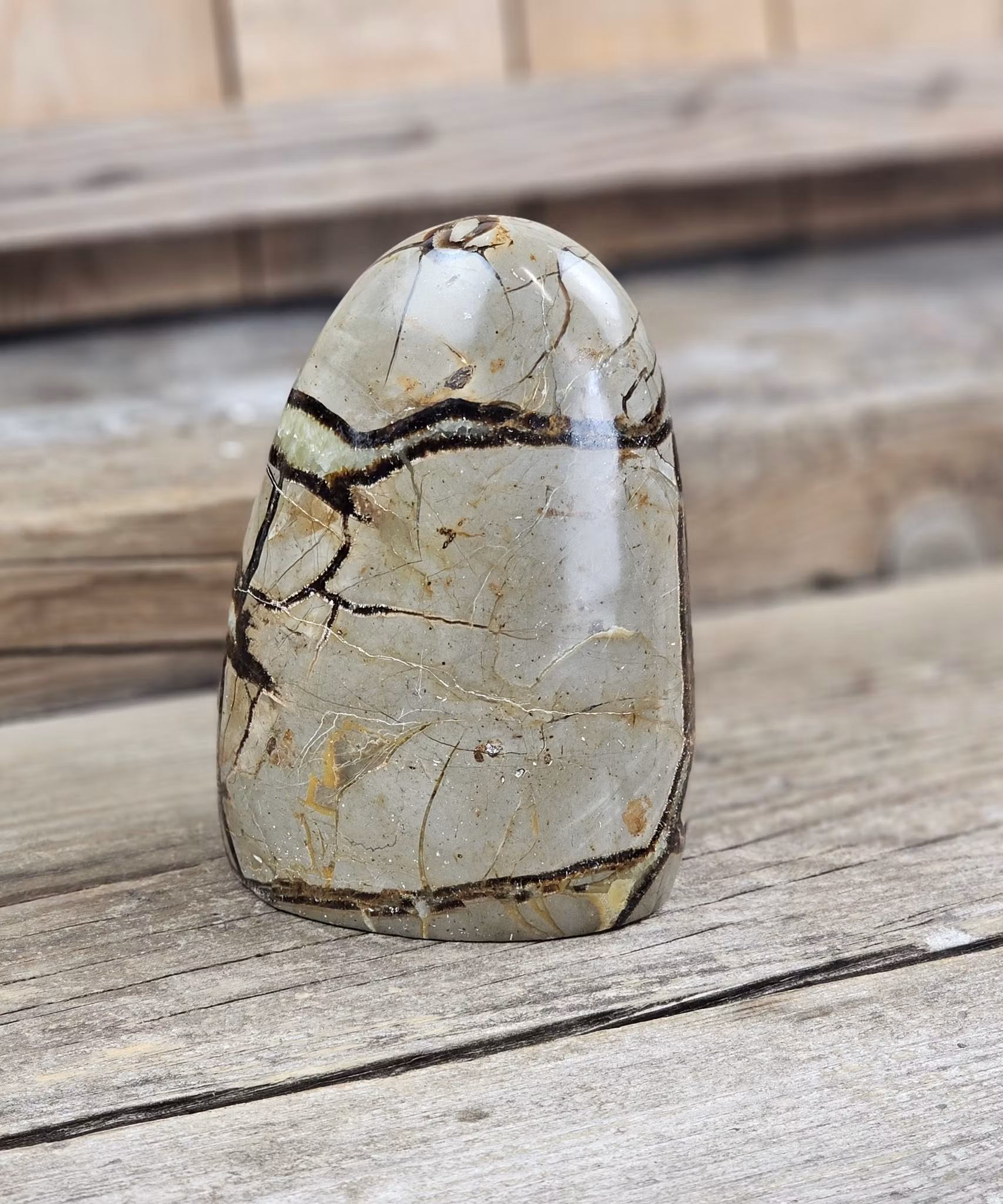 Septarian (Draksten), polerad kristall stående friform