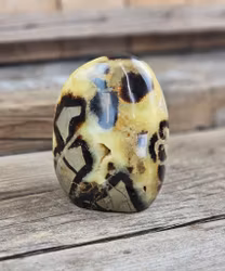 Septarian (Draksten), polerad kristall stående friform #5