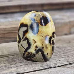 Septarian (Draksten), polerad kristall stående friform #5