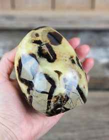 Septarian (Draksten), polerad kristall stående friform #5