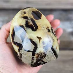 Septarian (Draksten), polerad kristall stående friform #5