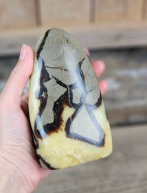 Septarian (Draksten), polerad kristall stående friform #6