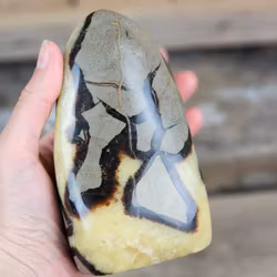 Septarian (Draksten), polerad kristall stående friform #6