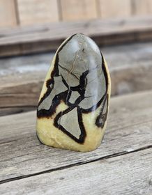 Septarian (Draksten), polerad kristall stående friform #6
